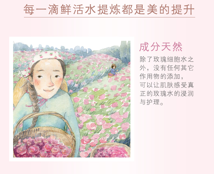 秘密花園玫瑰鮮活水