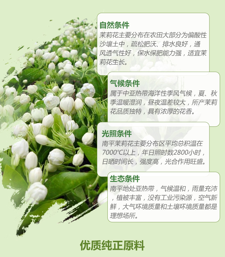 秘密花園茉莉鮮活水
